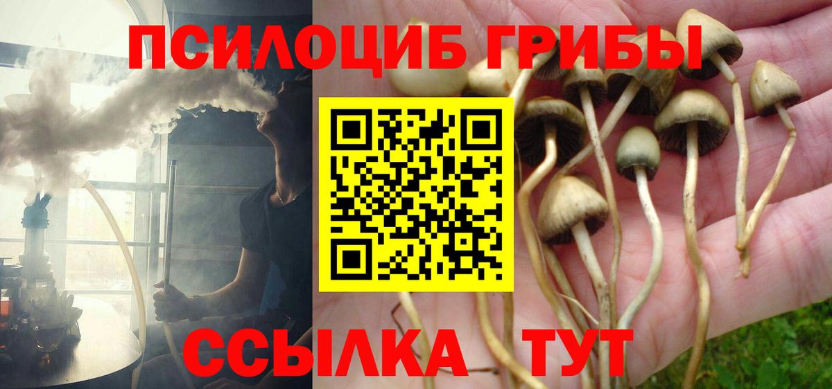 Галлюциногенные грибы мицелий Сибай