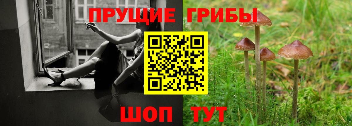 Псилоцибиновые грибы прущие грибы  купить   Сибай  Вход с VPN 